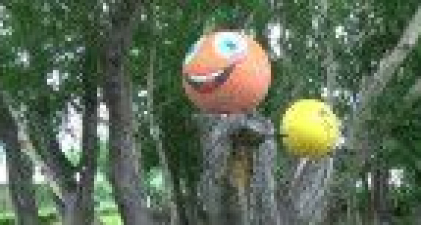 Жители Камчатки дают вторую жизнь морскому мусору (фото)