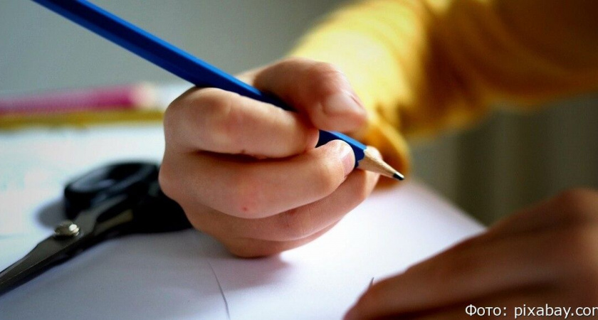 В России хотят запретить сайты с готовыми домашними заданиями