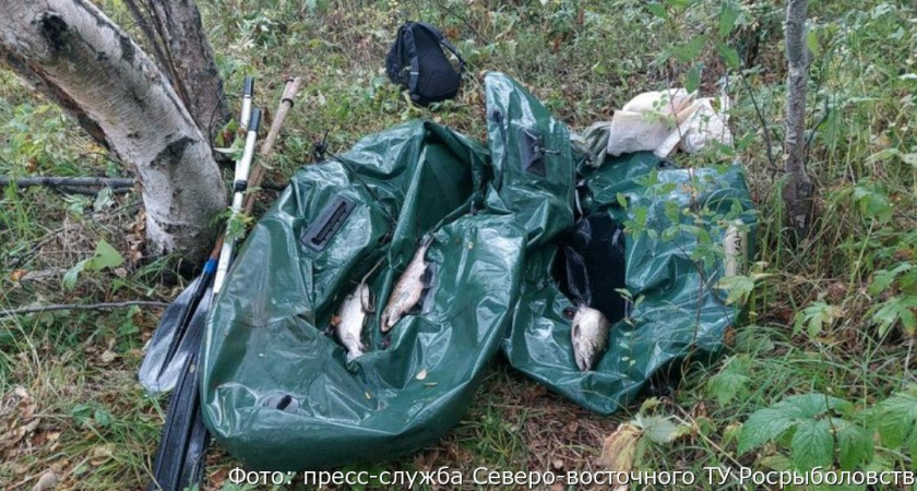 На Камчатке ищут владельцев двух брошенных лодок, чтобы оштрафовать