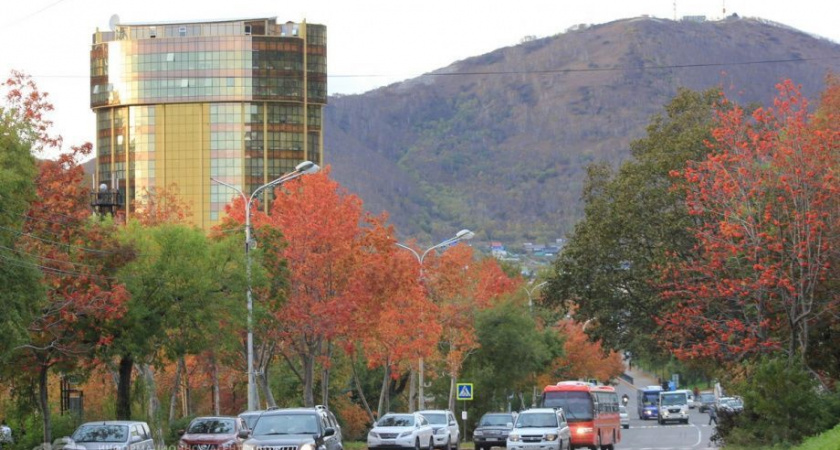 «Здравствуй, осень!»: Жителей Петропавловска приглашают на «Городские променады»