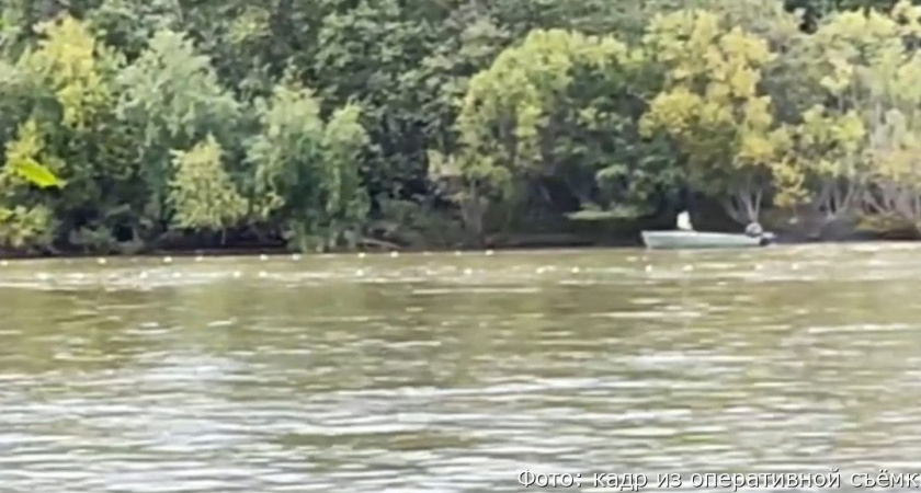 Камчатский браконьер добыл три десятка лососей и уголовное дело (видео)