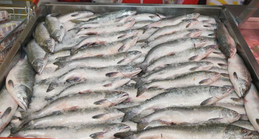 Владимир Солодов поручил сохранить объем реализуемой продукции по проекту «Камчатская рыба»