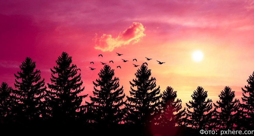 Гороскоп на 16 сентября: Овнов припрут к стенке, а Стрельцов ждёт выяснение отношений