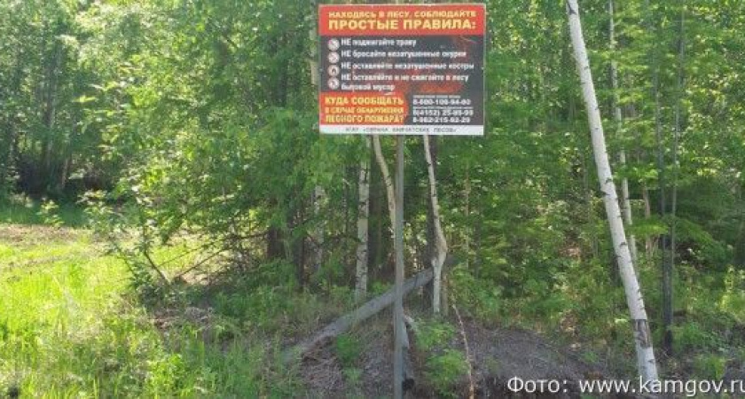 В лесах Камчатки установили 70 противопожарных аншлагов