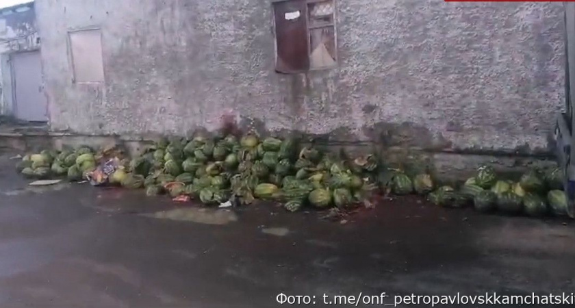 На злополучной продуктовой базе в Петропавловске-Камчатском снова воняет (видео)