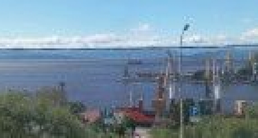 На Камчатке наблюдают «красный прилив» (видео)