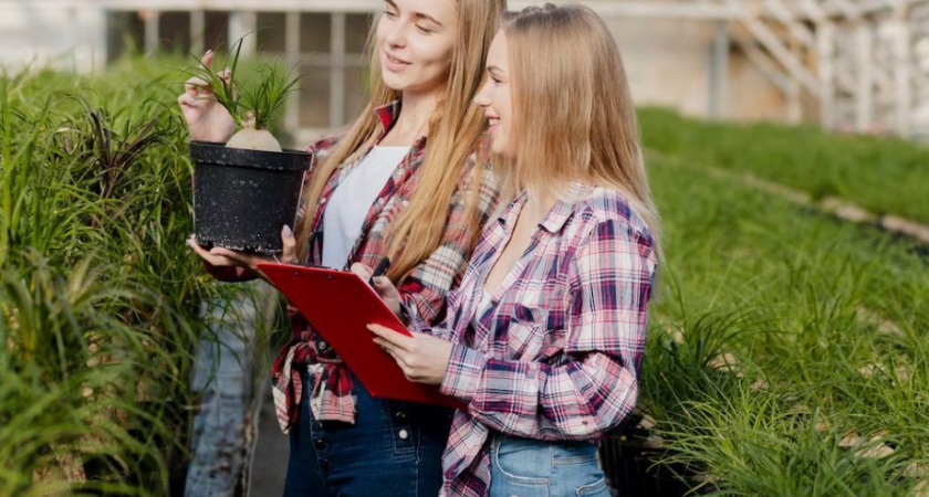 Молодых специалистов сельскохозяйственной отрасли Камчатки поддержат деньгами