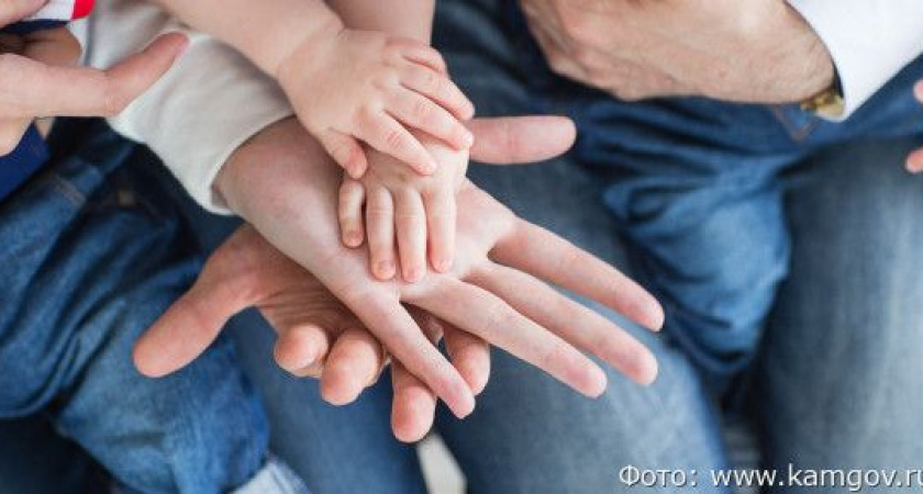 На Камчатке упростят процедуру назначения пособия на новорожденного