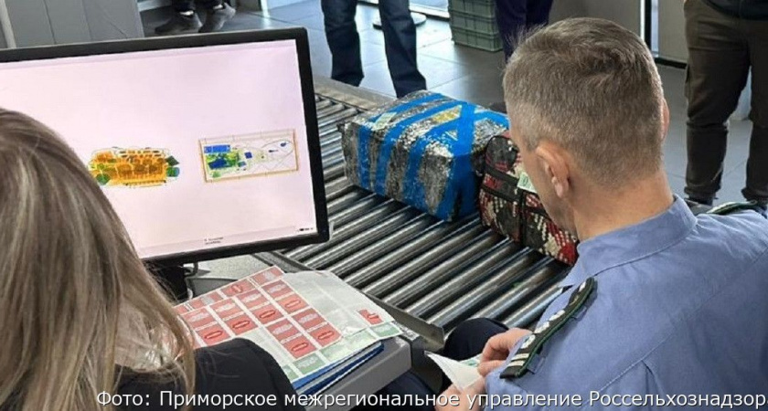 За неделю с Камчатки пытались незаконно вывезти 16 с половиной килограммов икры