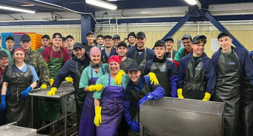 Бойцы четырнадцати студенческих отрядов  этим летом трудились на Камчатке