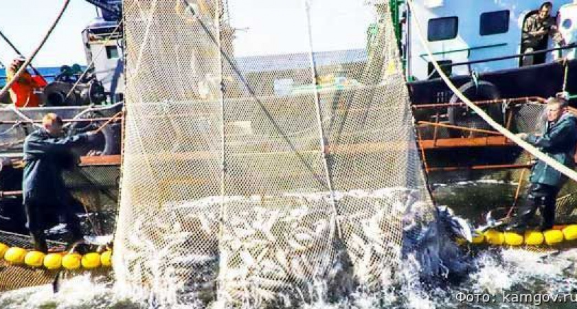 Камчатка и Всероссийская ассоциация рыбопромышленников усилят работу по подготовке кадров