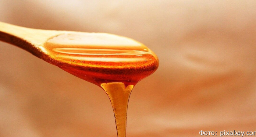 Мед дорожает на 50%: массовая гибель пчел бьет по отрасли