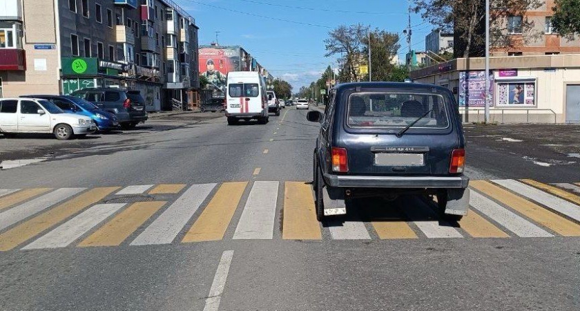 65-летняя женщина попала под колёса автомобиля в городе Елизово