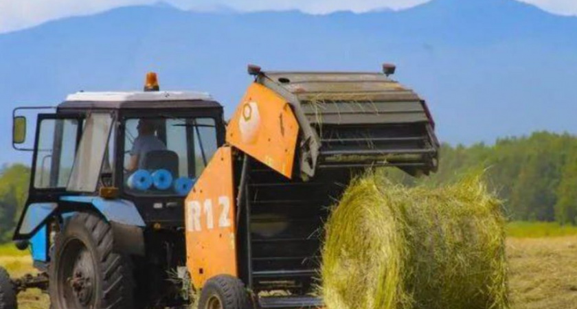 Союз работодателей Агропромышленного комплекса сформирован на Камчатке