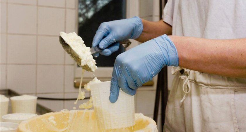 Мастер-сыродел с Камчатки Павел Чечулин поехал на конкурс Лучший сыродел