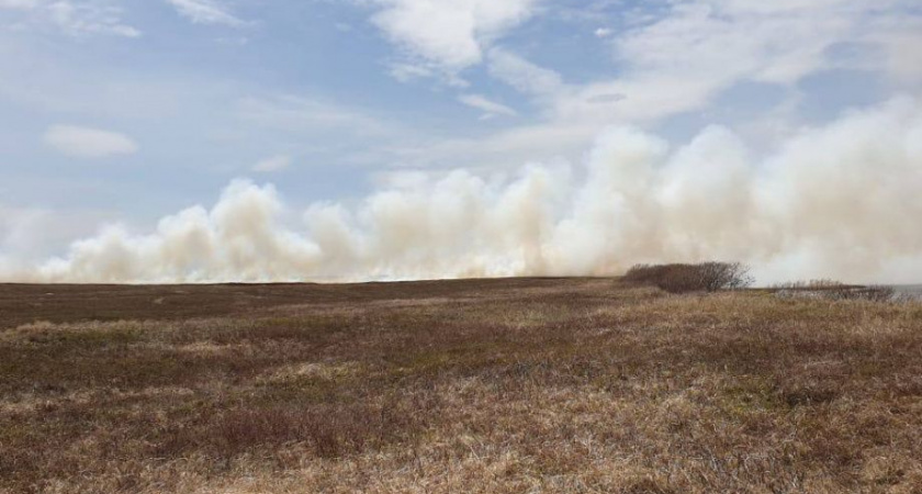 Владимир Солодов поручил принять меры для оперативного реагирования на лесные пожары, которые произошли в осенний период
