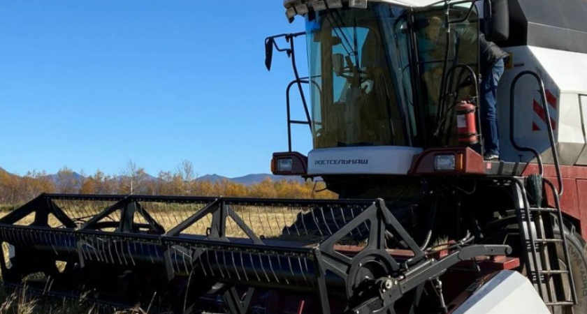 В Камчатском крае полным ходом идёт сбор урожая