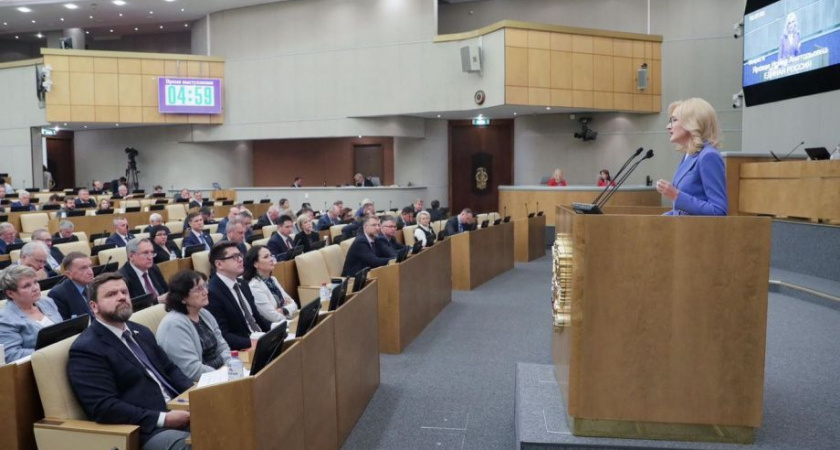 Ирина Яровая: нелегальная миграция — источник подпитывающий рост преступности