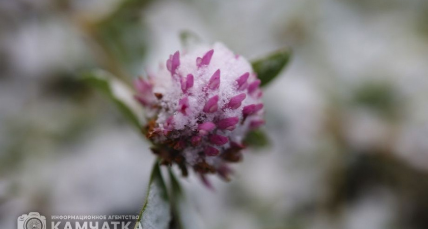 Снег в Петропавловске-Камчатском спутал планы на дорогу и обрадовал романтиков