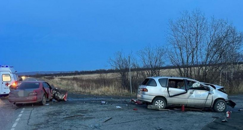 Молодая девушка устроила ДТП в Елизовском районе и попала в реанимацию