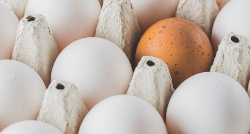 Губернатор Камчатского края Владимир Солодов поручил контролировать цены на куриные яйца в регионе