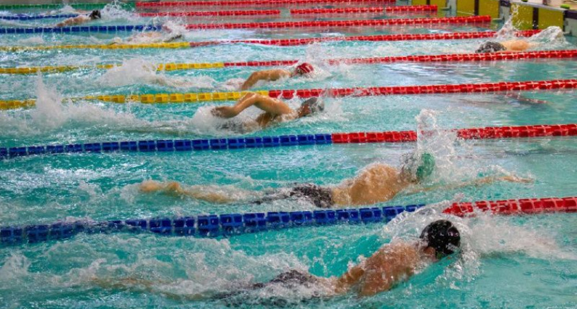 В Хабаровске проходили соревнования ДФО по плаванию: Камчатка в призовой общекомандной тройке.