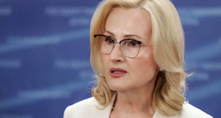 Ирина Яровая: Организация нелегальной миграции — общественно опасное деяние