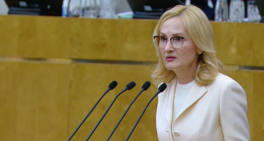 Ирина Яровая: действия правоохранителей по пресечению нелегальной миграции  будут решительны