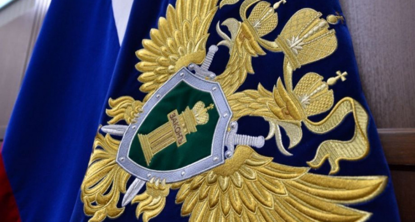 В связи с жестоким избиением жительницы Камчатки было возбуждено уголовное дело: прокуратура 