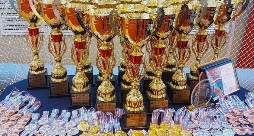 Борис Невзоров поздравил  спортсменов с открытием Всероссийского турнира по самбо 