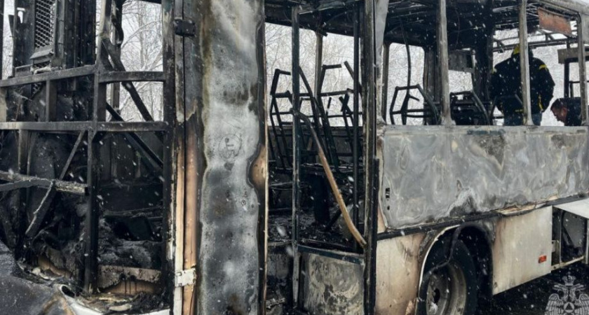 На трассе в Елизово тушили автобус: МЧС Камчатского края