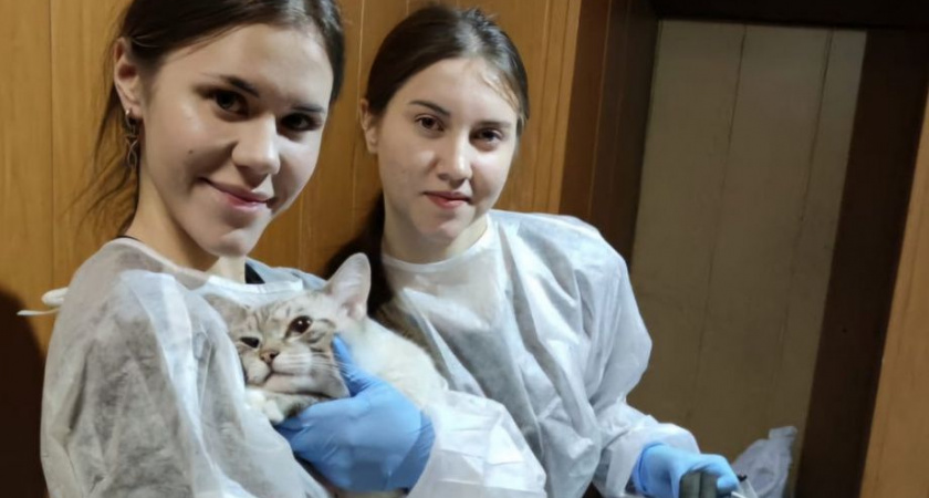 Команда «Айболитов» работала на Камчатке