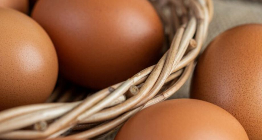 На птицефабрику «Пионерское» на Камчатке завезут новых птиц