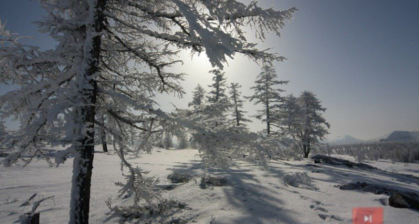 Пропавшего на Камчатке сторожа турбазы нашли погибшим