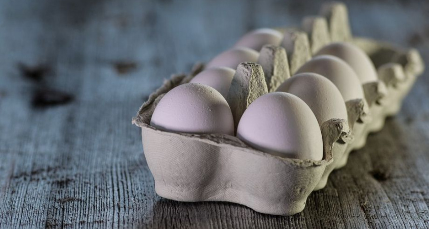 Камчатка будет с яйцами. Глава крупной торговой сети анонсировал поставки