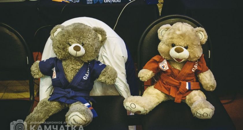 Всероссийский День самбо-2024 отметили на Камчатке