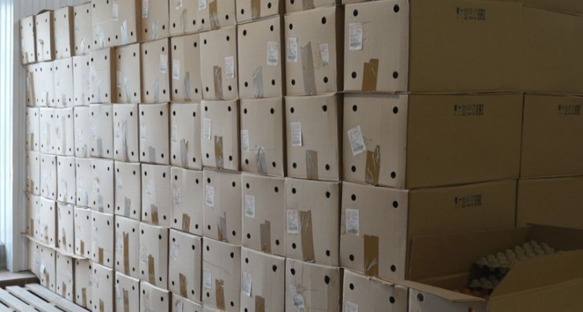 Камчатка получила крупную партию куриных яиц с материка