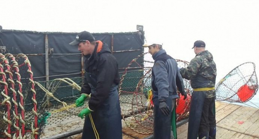 «Крабовые» деньги пойдут на строительство камчатских школ и детских садов