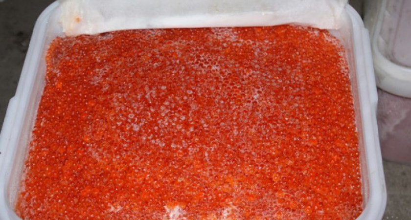 Нелегальную рыбопродукцию на 10 млн рублей изъяли у коммерсанта на Камчатке