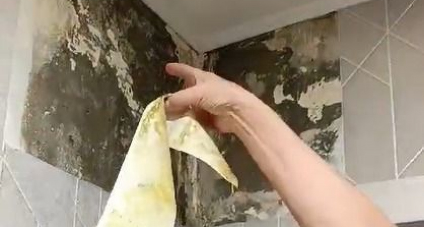 Жильцы дома в Петропавловске-Камчатском задыхаются от фекалий и грибка