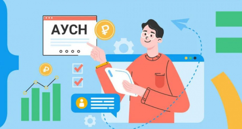 Автоматизированная упрощённая система налогообложения  появится на Камчатке 