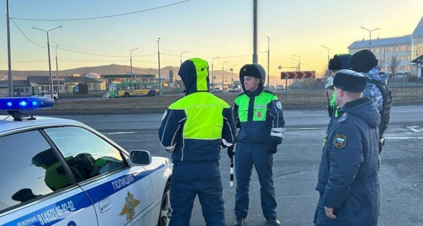 Из-за долга 160000 рублей по штрафам ПДД арестовано авто жителя Петропавловска