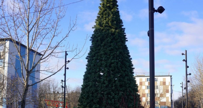 Главная ёлка Камчатки установлена в центре краевой столицы