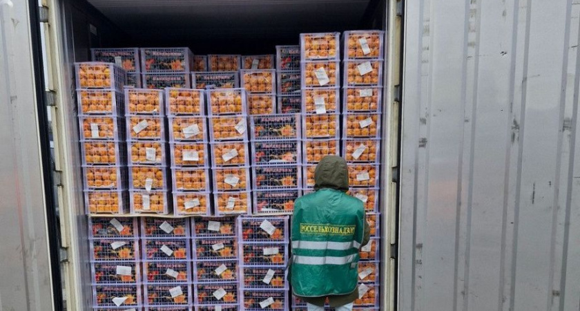 Овощи и фрукты из Китая проверяются камчатскими инспекторами Россельхознадзора