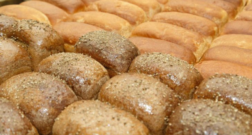 Пекарь-стартапер на Камчатке не отчитался за миллион от государства