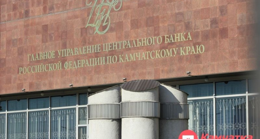 Камчатцы стали реже жаловаться на микрофинансовые организации и страховщиков