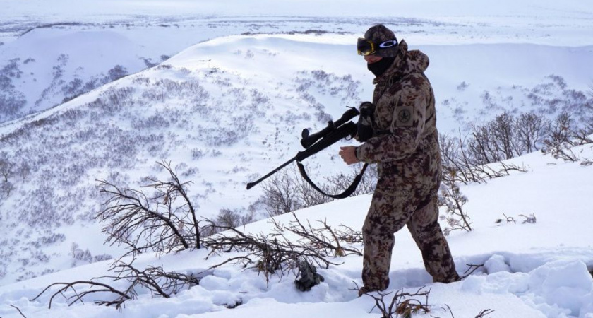 Оружие под контролем: на Камчатке подсчитали арсеналы жителей