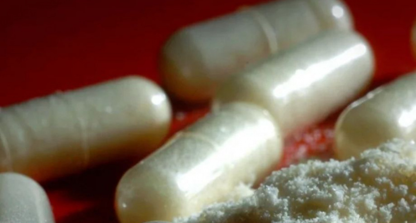 Камчатские полицейские задержали подозреваемого в незаконном обороте наркотиков