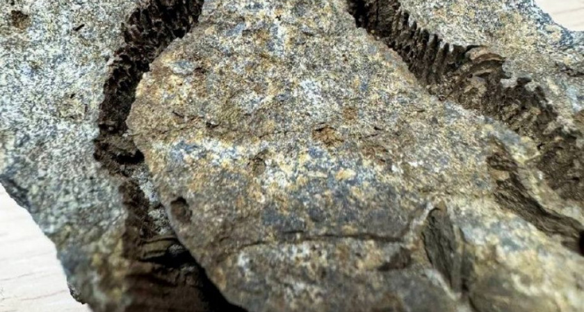 Горный массив Вачкажец был морским дном миллионы лет назад