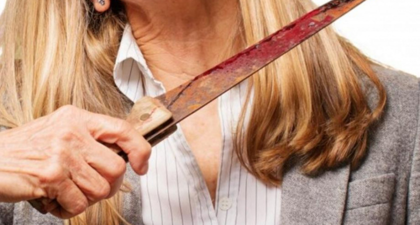 Жительница Мильково приговорена к 8 годам лишения свободы за убийство сожителя